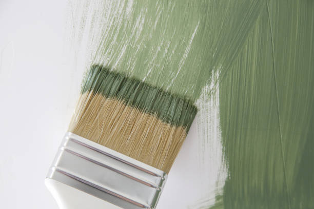 Best Mold Documentation for Insurance Claims  in Centerville, CA