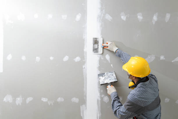 Dehumidification Services in Centerville, CA